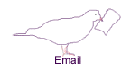 [Pigeon.]
